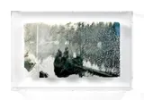 Sign of life I by Georgia Russell, 2011, Photographies découpées sur papier Kozo sous plexiglas, sold Jun 2025