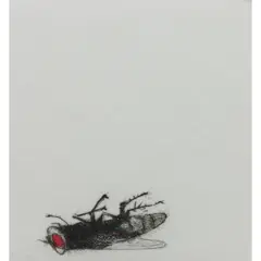 Untitled by Beth Van Hoesen, etching, sold Feb 2026