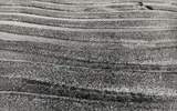 Untitled by Nasreen Mohamedi, Gelatin silver print on paper, sold Sep 2026
