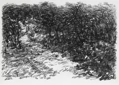 Untitled by Paramjit Singh, Charcoal on paper, sold Jun 2020