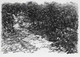 Untitled by Paramjit Singh, Charcoal on paper, sold Jun 2020