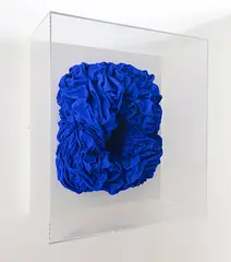 Untitled by Anish Kapoor, Canvas, resin and pigment, sold Jan 2019