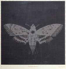 Process (Hawkmoth) by Baiju Parthan, 2007, 3D geometry array print on archival paper, sold Jan 2019