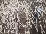 Roots under the Carpet by G.R. Iranna, Mixed media on paper, sold Jan 2019