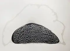 Curls of Mist-3 by Manisha Parekh, 2014, Graphite on Fabriano paper, sold Jan 2019
