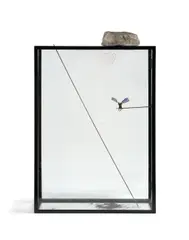 Le nuage de pierre by Rebecca Horn, 1995, Installation (pierre, tige en métal, ailes de papillon, peinture, moteur et vitrine), sold Dec 2025