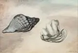 Coquillages by Léon Spilliaert, 1933, Aquarelle, lavis d'encre de Chine, gouache, crayon et crayon de couleur sur papier, sold Jun 2025