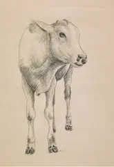 Untitled by Manjit Bawa, Pencil on paper, sold Mar 2019