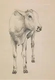 Untitled by Manjit Bawa, Pencil on paper, sold Mar 2019