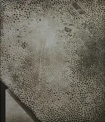 Untitled by Rameshwar Broota, 1999, Oil on canvas, offered Dec 2018