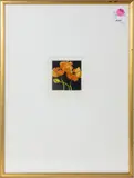 Poppies by Nancy Gross, 1983, etching with aquatint, sold Feb 2026