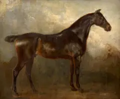 Cheval bai-brun by Jacques-Laurent Agasse, Huile sur toile, sold Nov 2025