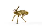 Animal by Cesar, 1956-1970, Bronze à patine dorée, sold Jun 2025
