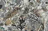 Untitled by Suhasini Kejriwal, Mixed media on canvas, offered Jun 2017
