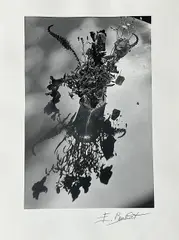 Fleurs by Édouard Boubat, Tirage photographique en noir et blanc, offered Nov 2025