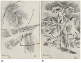 Untitled by M. F. Husain, Graphite on paper, sold Dec 2016