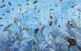 Untitled (Blind Celebration) by G.R. Iranna, Acrylic on canvas, offered Dec 2016