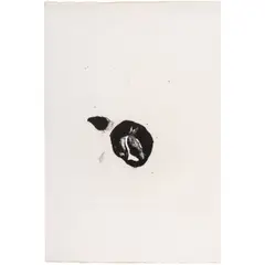 Horse Head by Nathan Oliveira, 1963, lithograph, sold Mar 2026