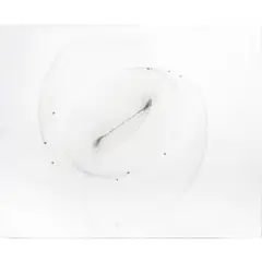 Pendulum Spit Bite by Terry Fox, 1977, aquatint, sold Mar 2026