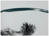 Composition - Guirlandes et coup de pinceau, c. 1980 by Dora Maar, Épreuve argentique d'époque (photogramme) et aquarelle, sold Apr 2024
