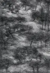 Untitled by Paramjit Singh, Charcoal on paper, sold Dec 2014