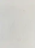 Untitled by Tyeb Mehta, Conte on paper, offered Dec 2014