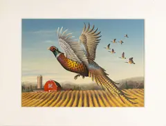 Pheasant by Nicholas Machell, 2012, acrylic on board, sold Mar 2026