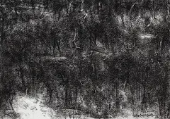 Untitled by Paramjit Singh, Charcoal crayon on paper, offered Mar 2014
