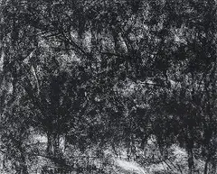 Untitled by Paramjit Singh, Charcoal on paper, sold Aug 2013