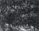 Untitled by Paramjit Singh, Charcoal on paper, sold Aug 2013