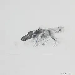 Dog and Shoe by Jagannath Panda, Mixed media on paper, sold Aug 2013