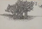 Untitled by Nandalal Bose, Watercolour on paper pasted on board, sold Dec 2013