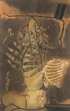 Cage by Atul Dodiya, Watercolour, charcoal and acrylic with marble dust on paper, sold Sep 2013