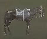 Study for Vapi Horse by Nataraj Sharma, Mixed media on canvas, sold Mar 2013