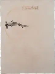 Hammerhead by Atul Dodiya, Watercolour on arches paper, sold Nov 2012