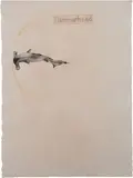 Hammerhead by Atul Dodiya, Watercolour on arches paper, sold Nov 2012
