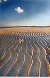 Combed Beach, Lakshwadeep by Raghu Rai, Pigment ink on textured fine art archival paper, sold Jul 2012