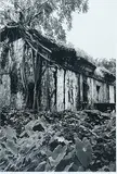 Abandoned House, Parra by Prabuddha Dasgupta, Archival digital print on paper, sold Jul 2012