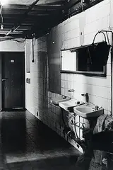 Untitled by Anita Dube, Silver gelatin print on fibre matt paper, sold Jul 2012
