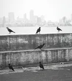 Marine Drive by Chirodeep Chaudhuri, Photograph on paper, sold Jul 2012