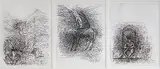 Untitled by Ghulam Mohammed Sheikh, Pen and ink on paper, offered Aug 2012