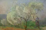 Etude d'arbres à la lumière du levant by Marie Bracquemond, Huile sur toile marouflée sur carton, sold Apr 2024