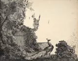 Paon et statue dans un jardin by Félix Bracquemond, Plume et encre noire, crayon noir, sold Apr 2024