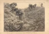 Juin : les marguerites de la Saint-Jean by Marie Bracquemond, Fusain et crayon, sold Apr 2024