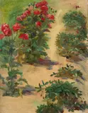 Etude de pavots et de rhododendrons by Marie Bracquemond, Huile sur toile (Toile et châssis d'origine), sold Oct 2024