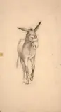 Etude pour l’âne de Sancho Panza, illustration de Don Quichotte de Cervantès by Marie Bracquemond, Crayon noir et estompe, sold Oct 2024