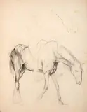 Etude pour Rossinante, le cheval de Don Quichotte au recto ; une étude jeune fille au verso by Marie Bracquemond, Crayon noir et estompe, sold Oct 2024