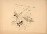 Projet d’assiette, chasseur aux canards sur une barque by Félix Bracquemond, Plume et encre brune, crayon, sold Oct 2024