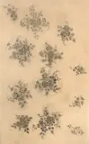 Ensemble de cinq feuilles d’études de boutons by Félix Bracquemond, Techniques mixtes : crayon noir, lavis gris et rehauts d’or, sold Oct 2024