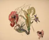 Epi de maïs et fleurs, projet d'assiette by Félix Bracquemond, Aquarelle et fusain, sold Oct 2024